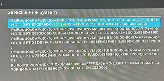 ASUS File System Selection